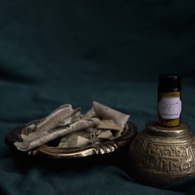 dried Mescaline and a bottle of grinded Mescaline