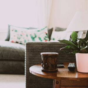 Cozy looking room with a plant for a in home addiction recovery