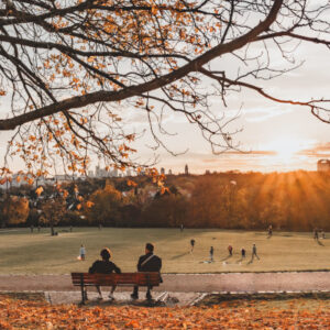Two people sitting on a bench enjoying sunset and a good view